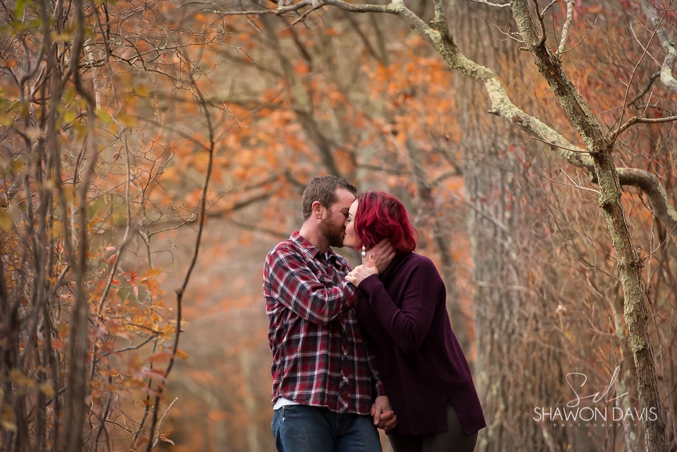 Borderland state park fall engagement pictures in the woods